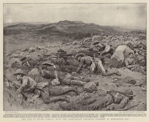 Der Krieg in Südafrika, mit den Queensland Imperial Bushmen bei Rhenoster Kop